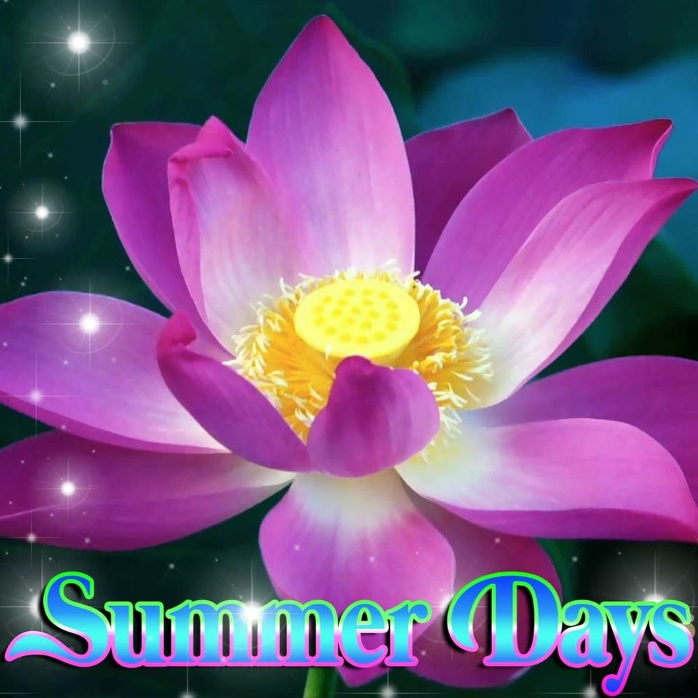 Meet your Posher, Normajean